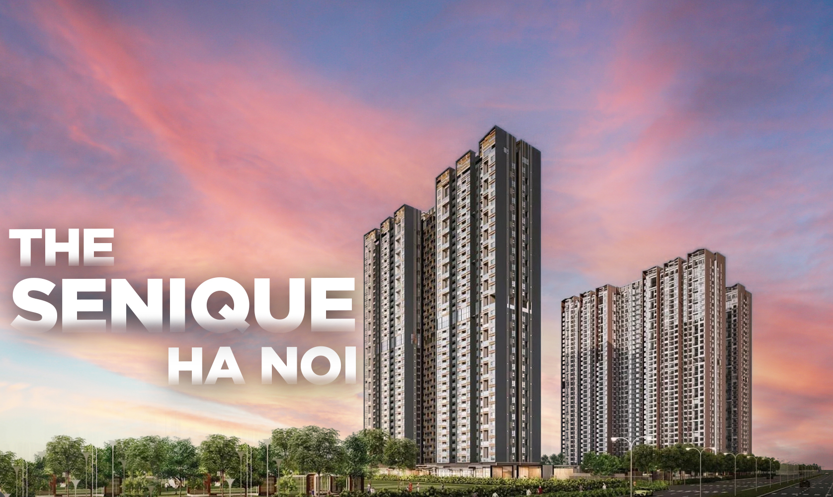 The Senique Ha Noi