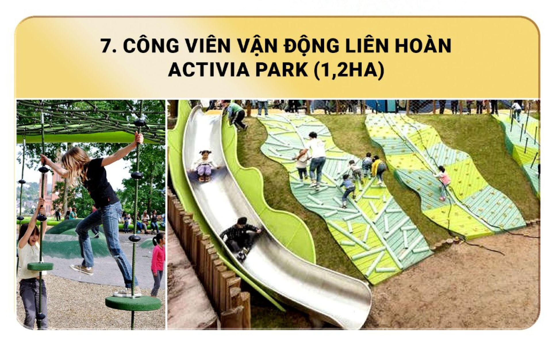 Tiện ích preview