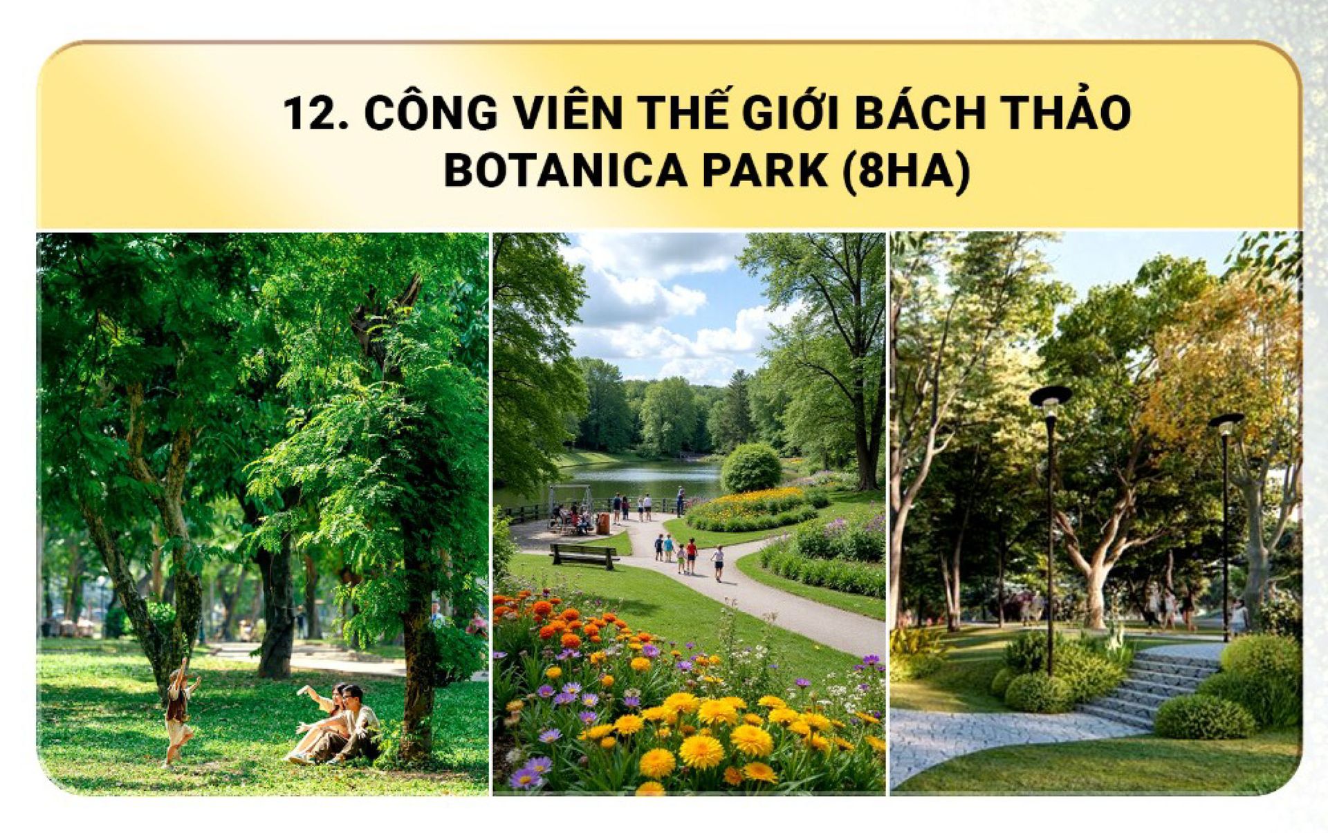 Tiện ích preview