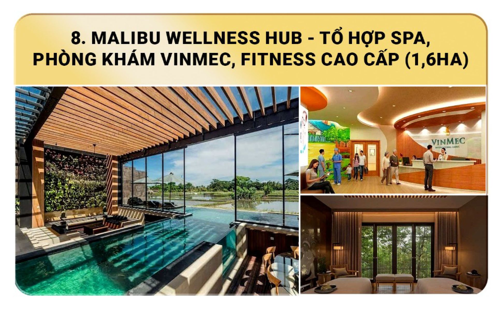 Tiện ích preview
